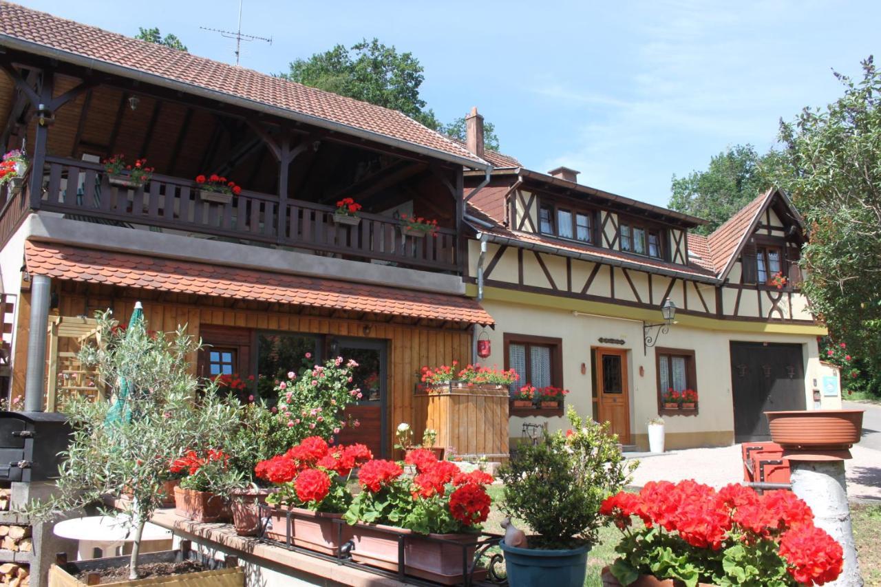 La Maison De Vacances Nothalten Zewnętrze zdjęcie