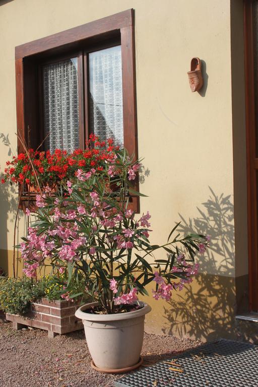 La Maison De Vacances Nothalten Pokój zdjęcie